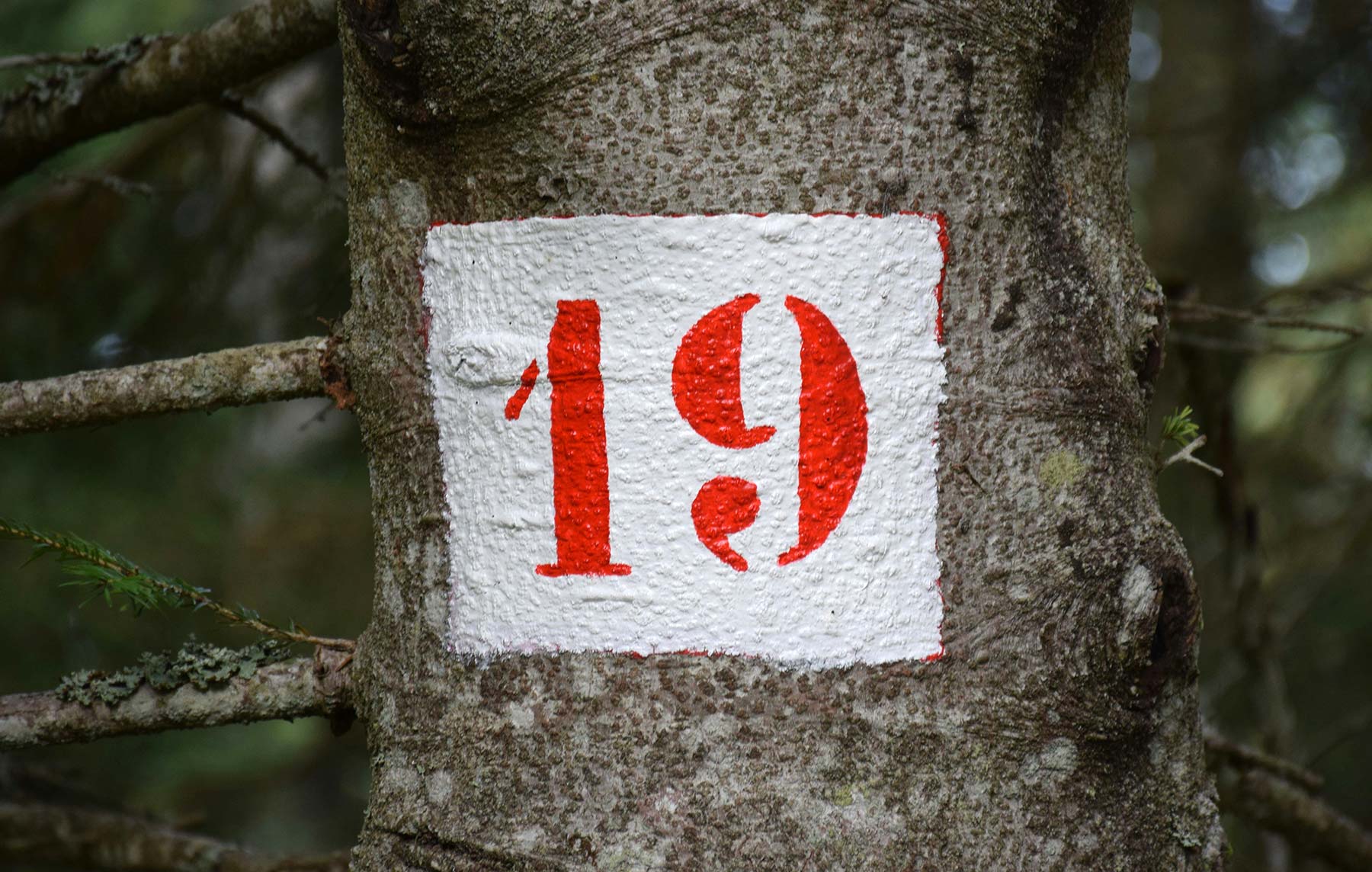 19 Jahre LangeweileDich.net!