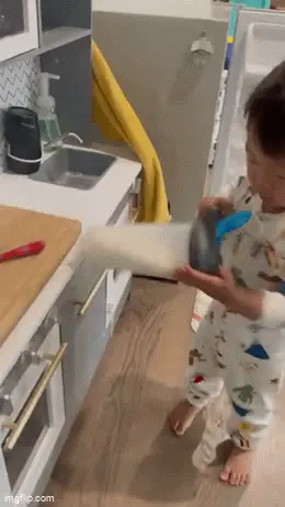 GIFparade CLII GP152_01