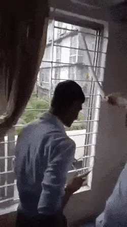 GIFparade CLII GP152_17 