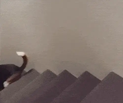 GIFparade CLII GP152_19 