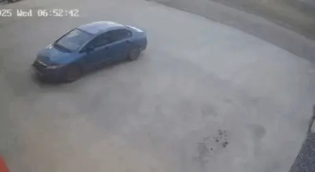 GIFparade CLII GP152_21 