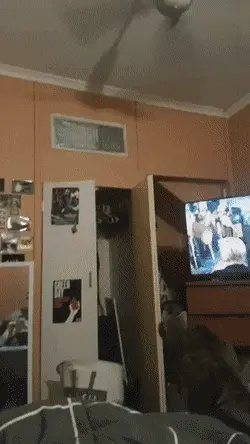 GIFparade CLII GP152_34 