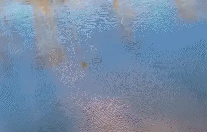 GIFparade CLII GP152_40 