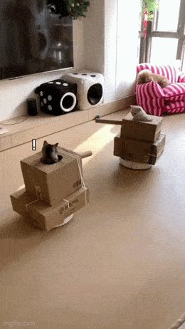 GIFparade CLIII GP153_08 