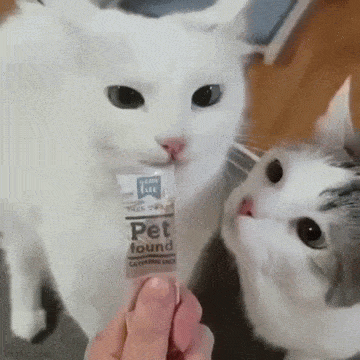 GIFparade CLIII GP153_11 