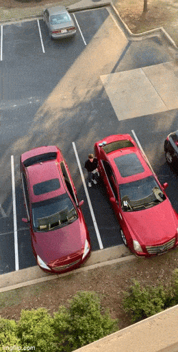 GIFparade CLIII GP153_16 