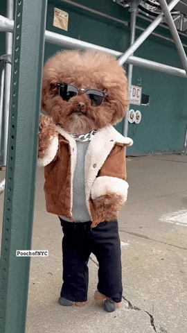 GIFparade CLIII GP153_22 