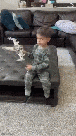 GIFparade CLIII GP153_23 