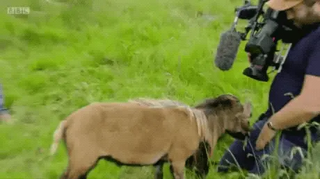 GIFparade CLIII GP153_26 