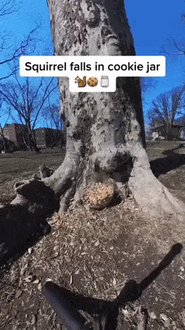 GIFparade CLIII GP153_30 