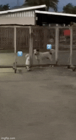 GIFparade CLIV GP154_01