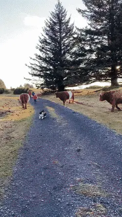 GIFparade CLIV GP154_07