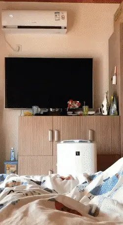 GIFparade CLIV GP154_20 