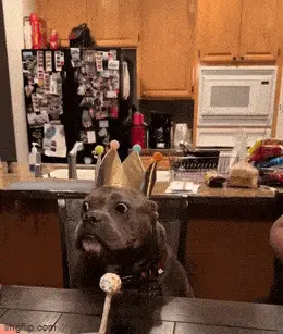 GIFparade CLIV GP154_30 