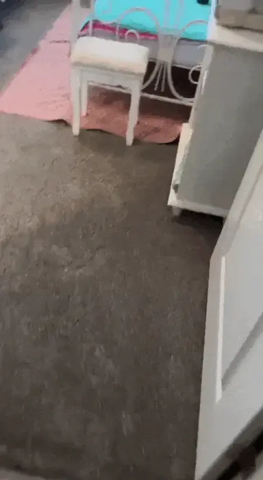 GIFparade CLIV GP154_38 