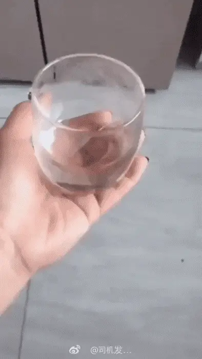 GIFparade CLV GP155_04 