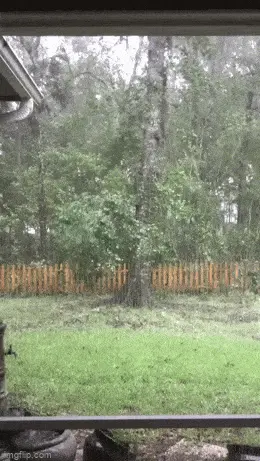 GIFparade CLV GP155_22 