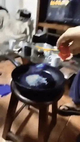 GIFparade CLV GP155_28 