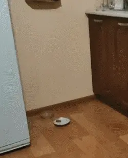 GIFparade CLV GP155_39 