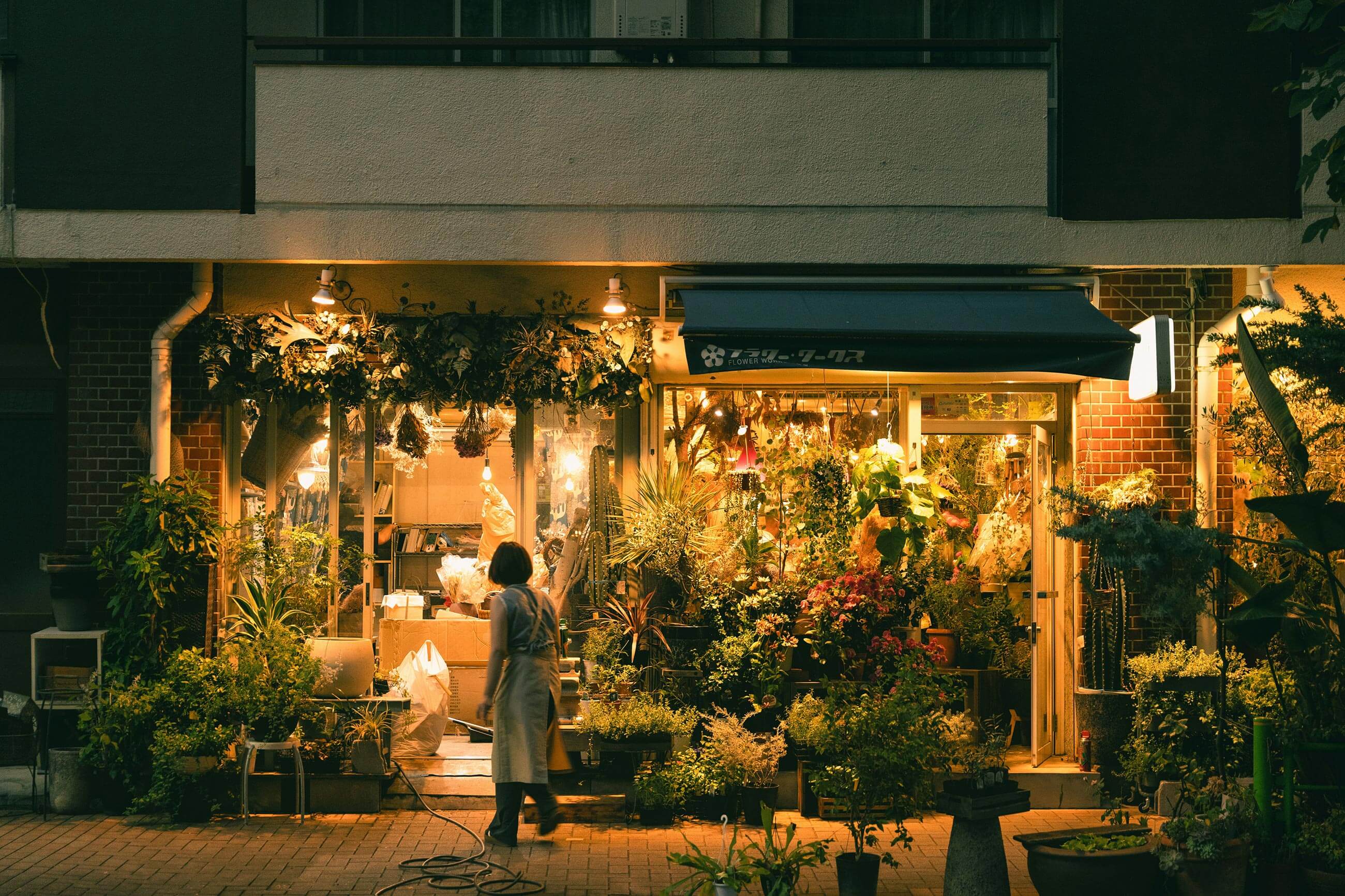 Best of Unsplash: September 2025 ayumi-kubo-Pjt6N69Z8ds-unsplash