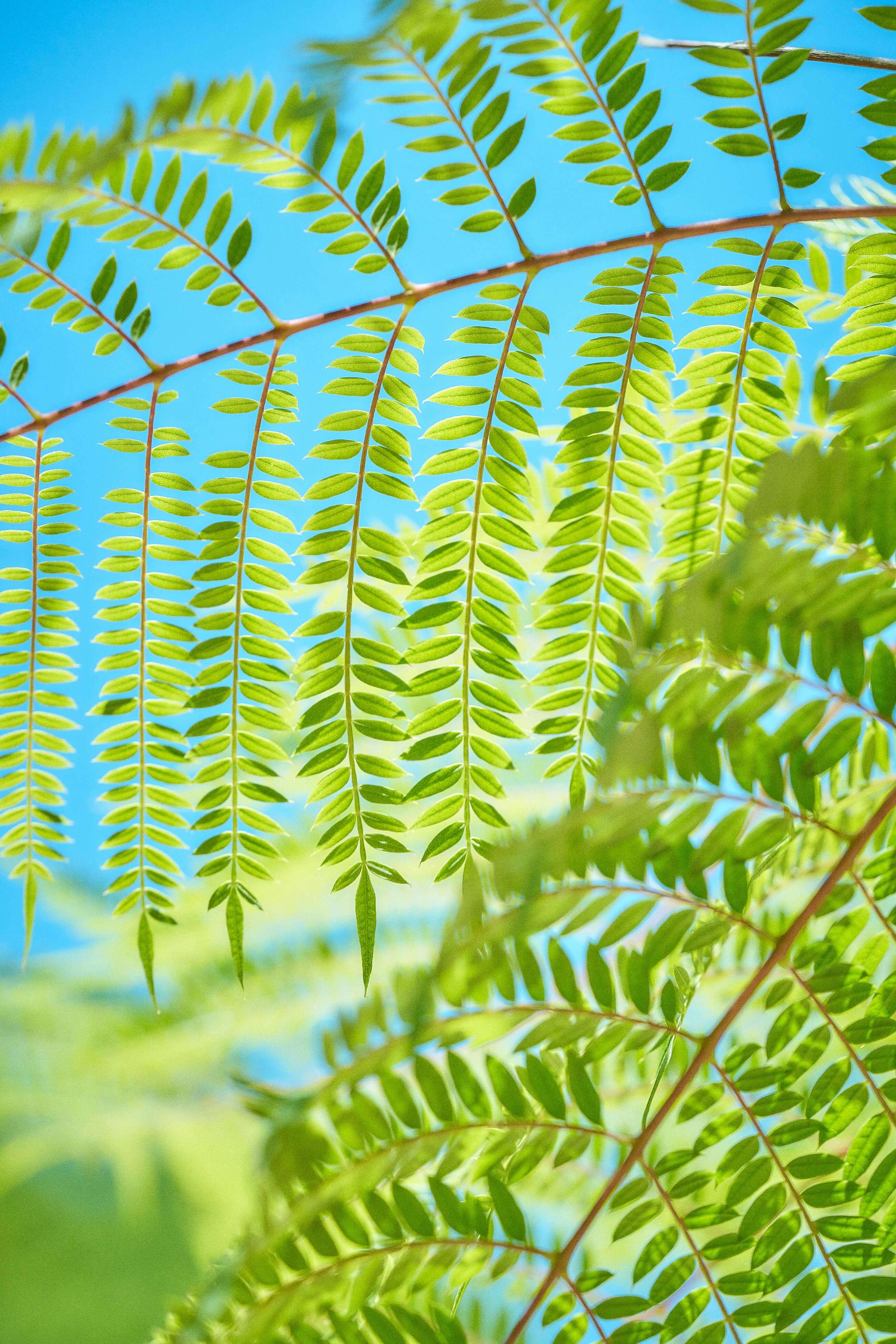 Best of Unsplash: September 2025 buddy-an-MFE5IACnWnE-unsplash