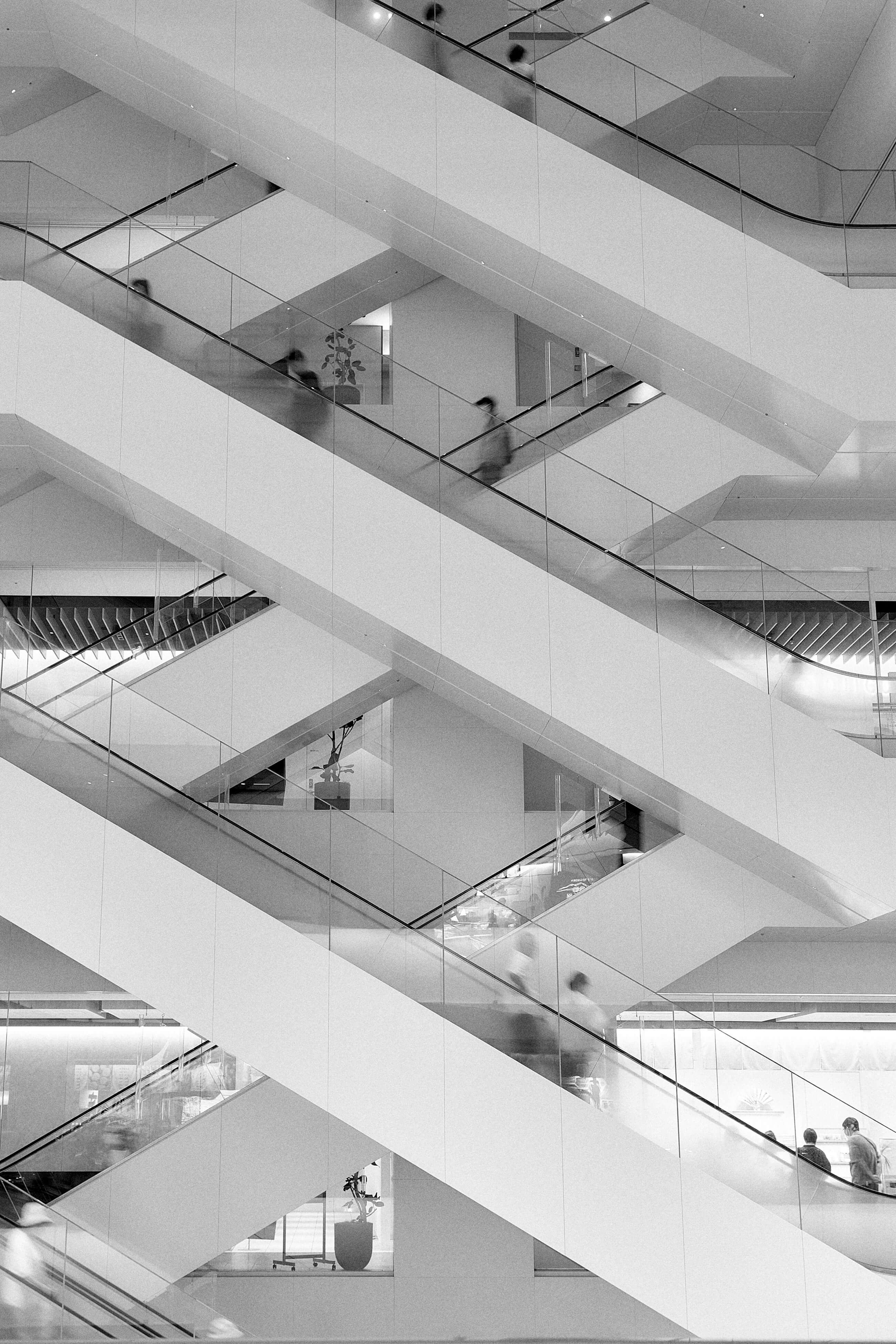 Best of Unsplash: September 2025 buddy-an-eQvPbwhGSXc-unsplash