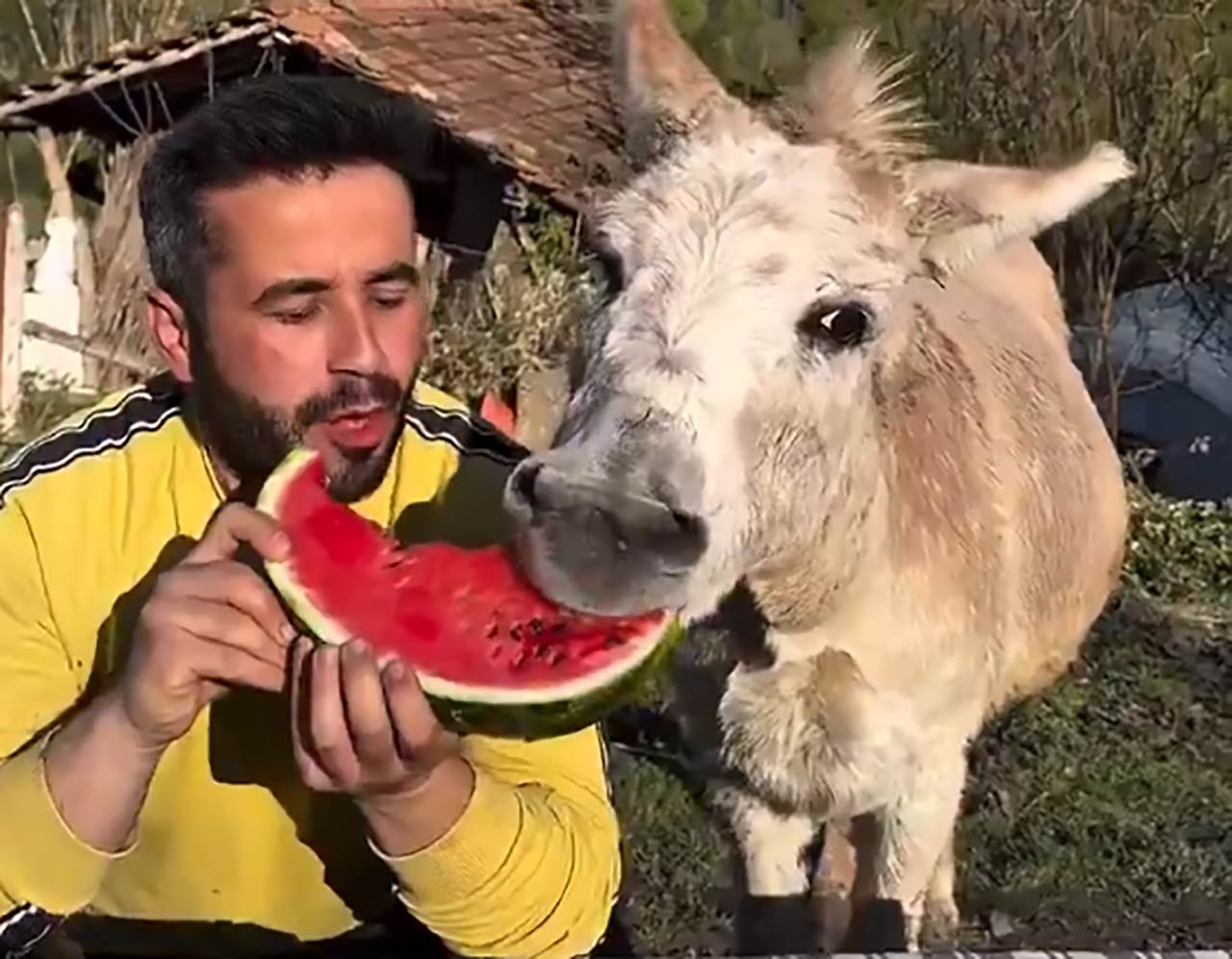 Fluff der Woche (108)