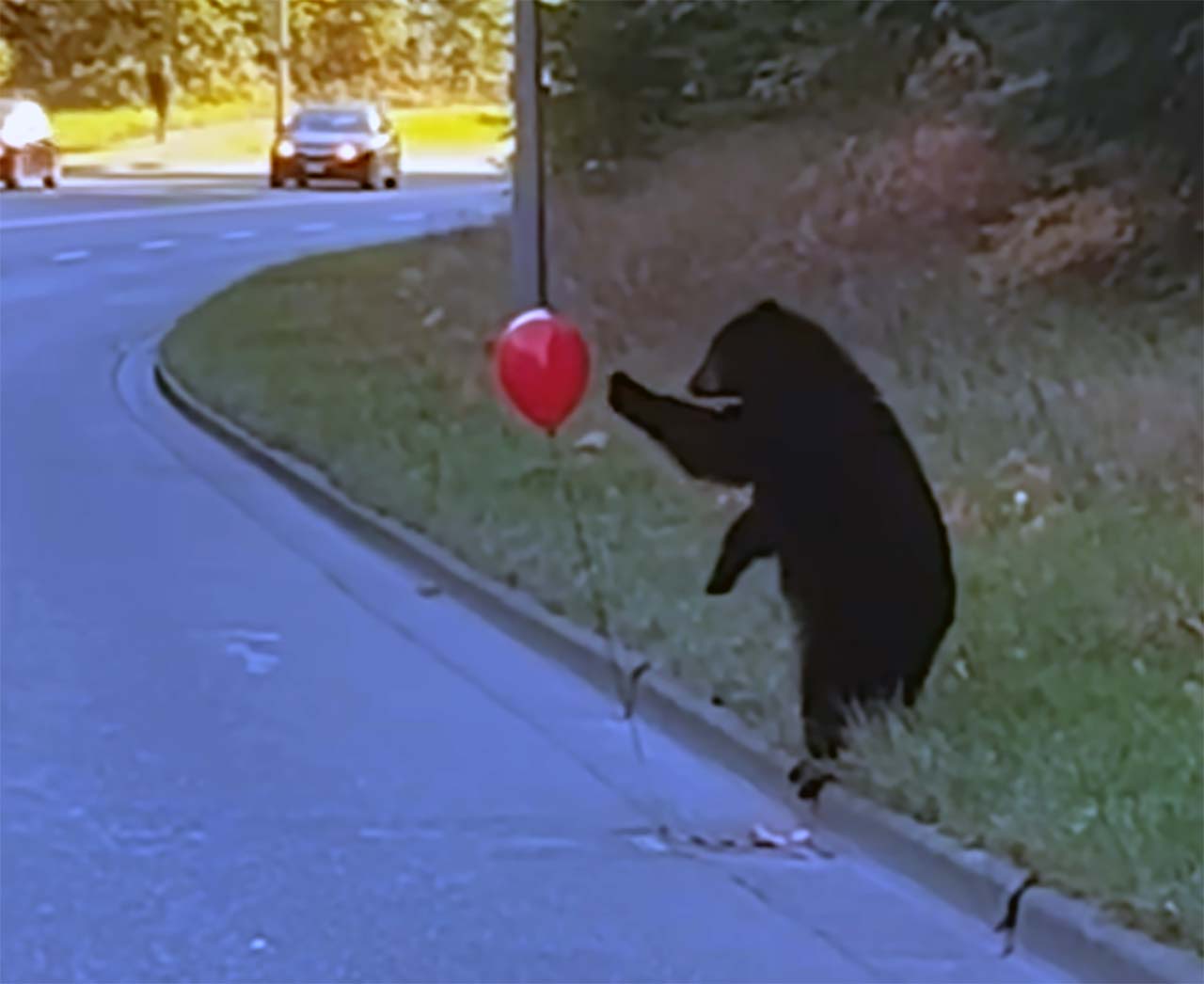 Fluff der Woche (109)