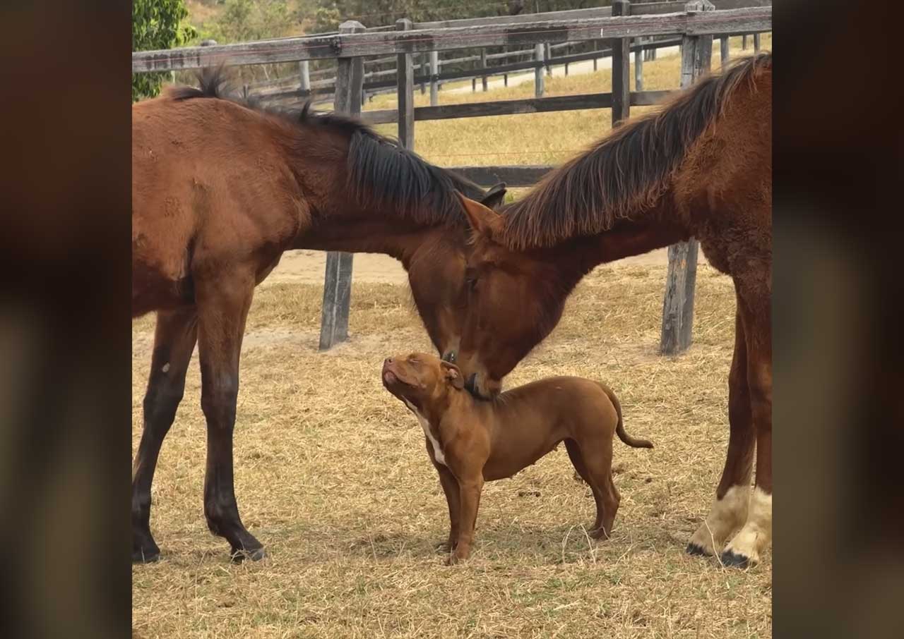 Fluff der Woche (111)