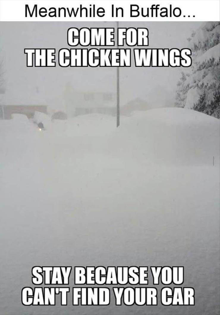 Bilderparade DCCCLXXXIII BP883_23 