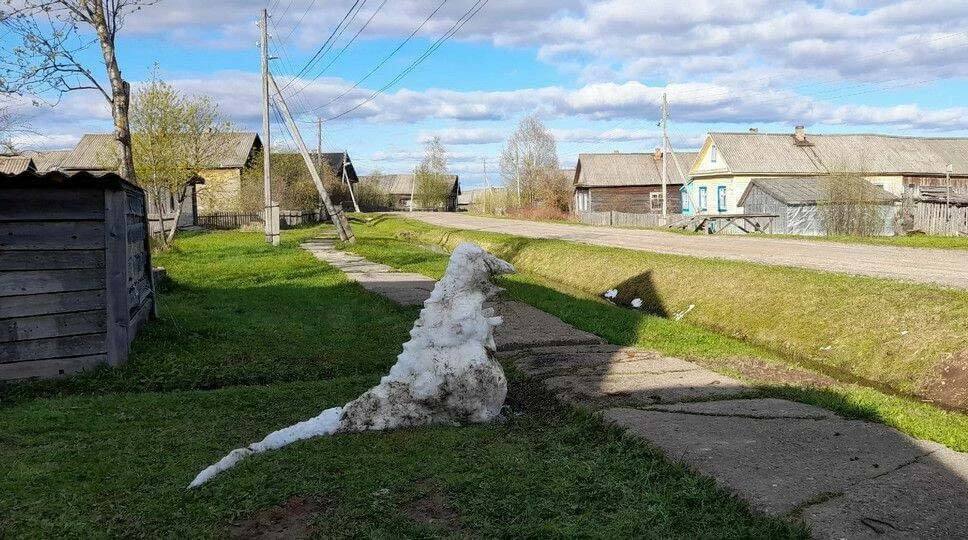 Bilderparade DCCCLXXXIII BP883_29 