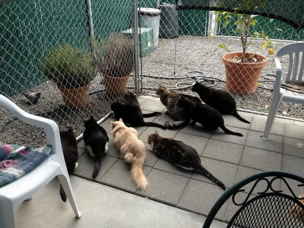 Bilderparade DCCCLXXXIII BP883_37 