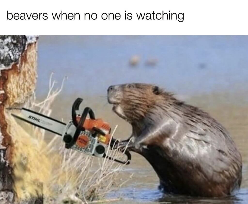 Bilderparade DCCCLXXXIII BP883_47 