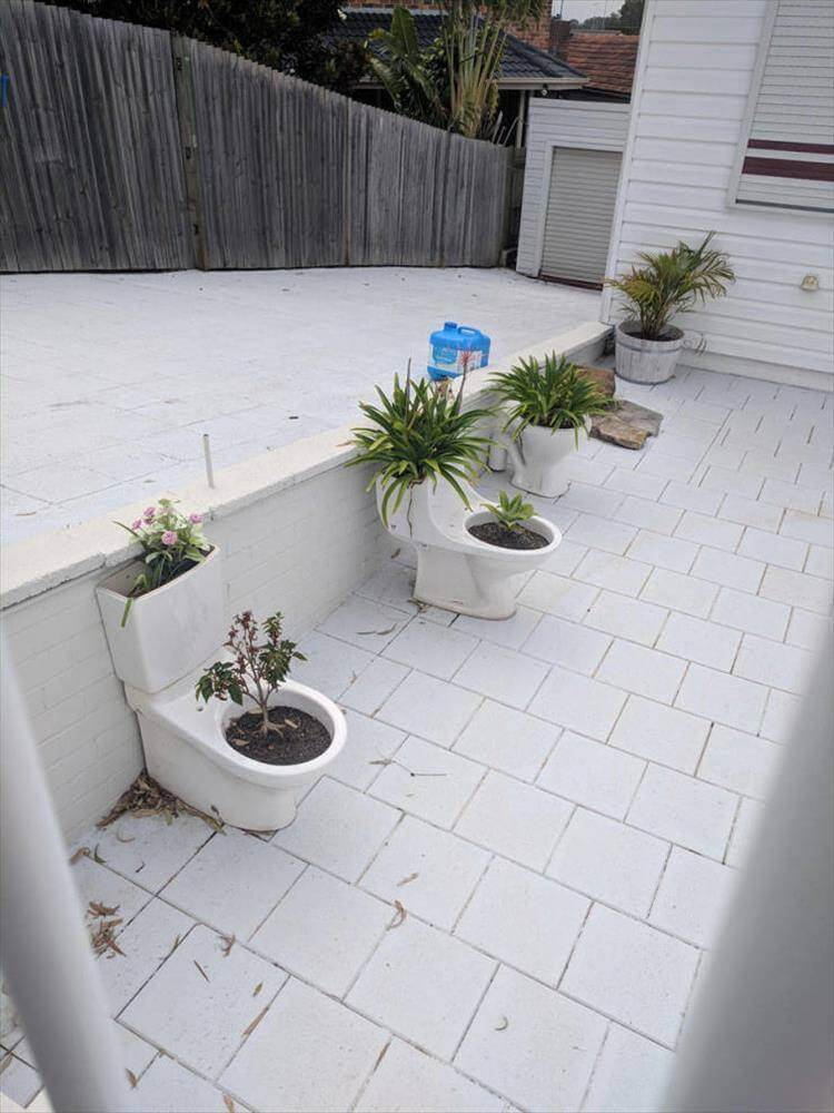 Bilderparade DCCCLXXXIII BP883_54 