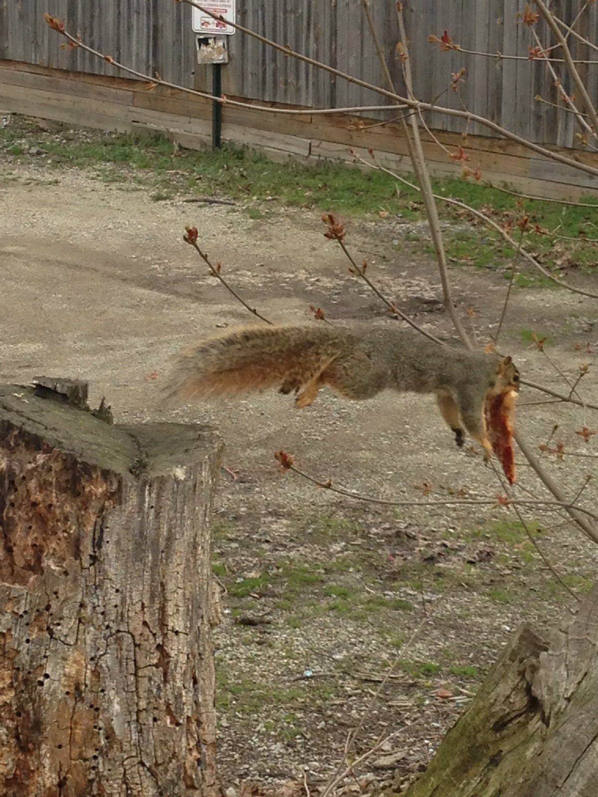 Bilderparade DCCCLXXXIII BP883_65 