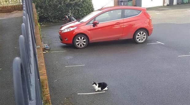 Bilderparade DCCCLXXXIII BP883_83 