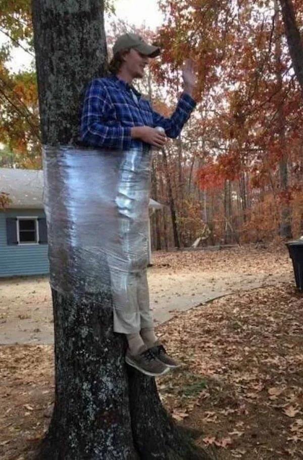 Bilderparade DCCCLXXXIV BP884_31 