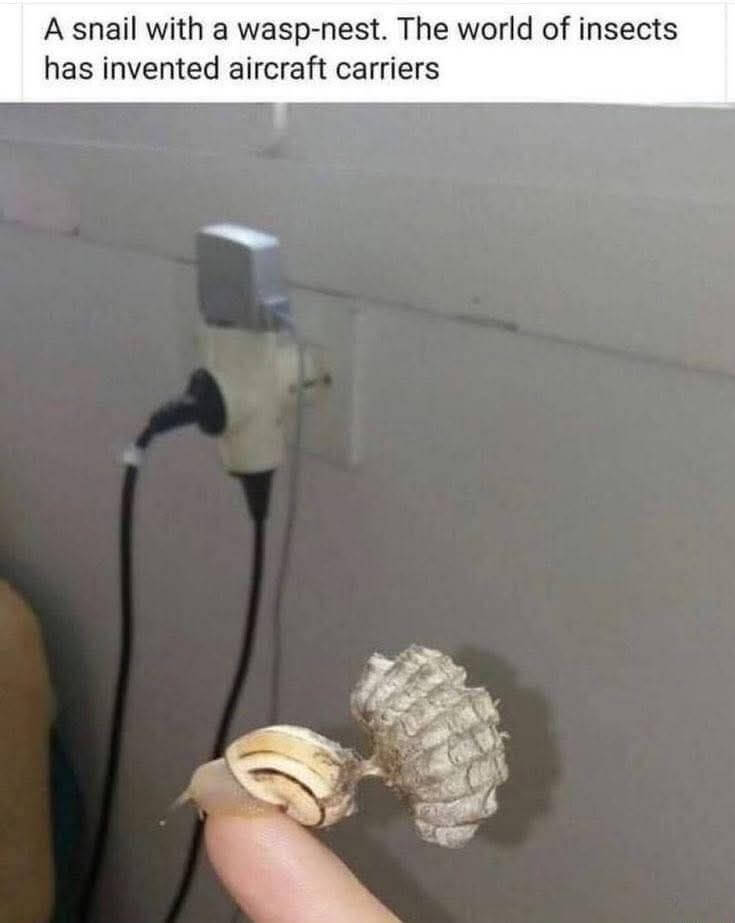 Bilderparade DCCCLXXXIV BP884_34 