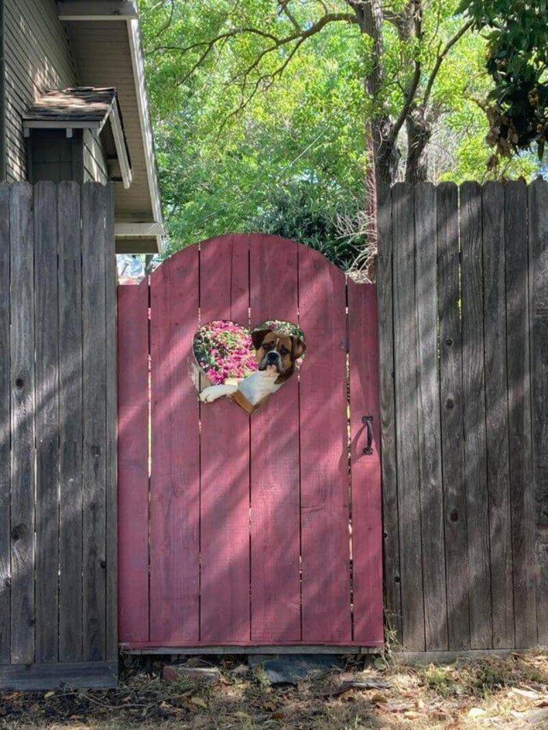 Bilderparade DCCCLXXXIV BP884_59 