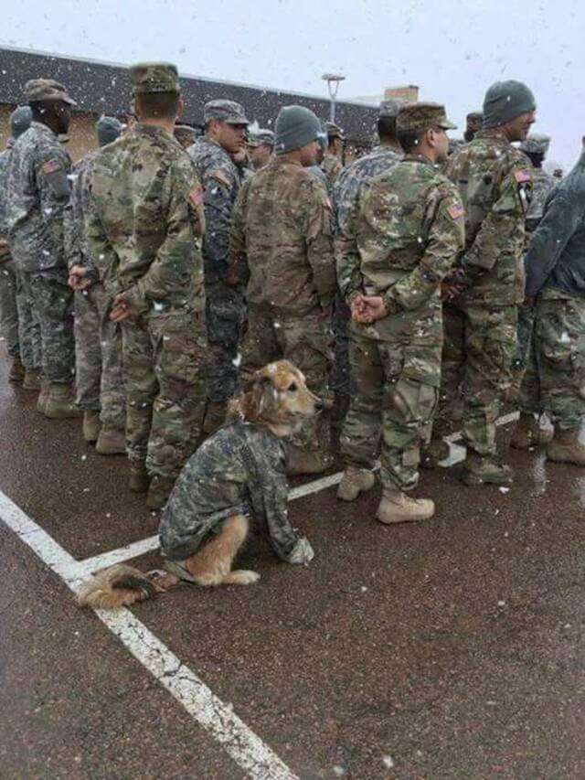 Bilderparade DCCCLXXXIV BP884_87