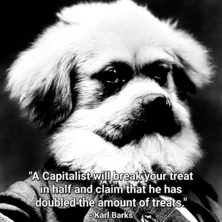 Bilderparade DCCCLXXXIV BP884_89