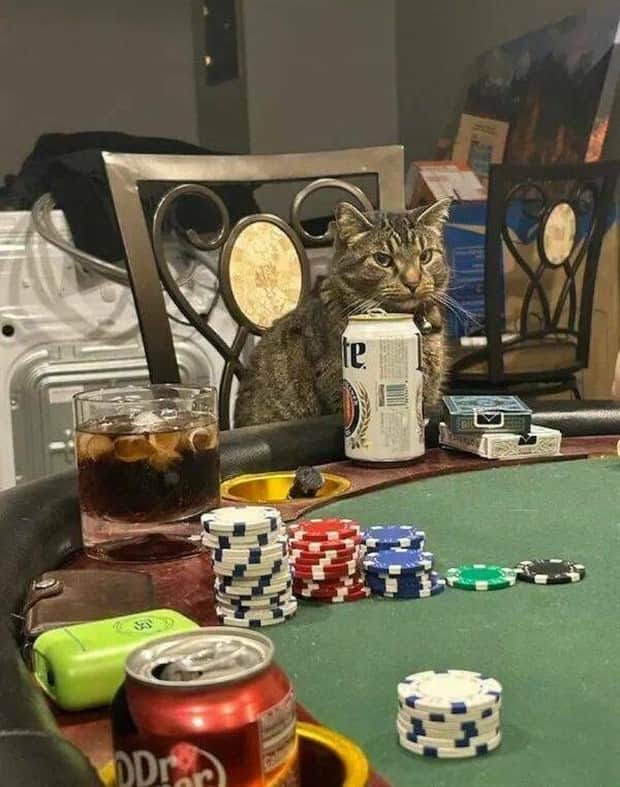 Bilderparade DCCCLXXXIV BP884_97