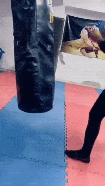 GIFparade CLVI GP156_19 