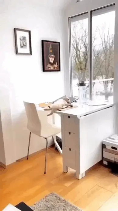 GIFparade CLVI GP156_32 