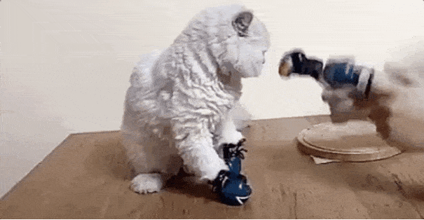 GIFparade CLVI GP156_47 