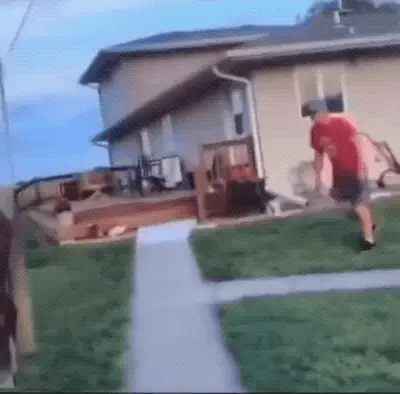 GIFparade CLVI GP156_51 