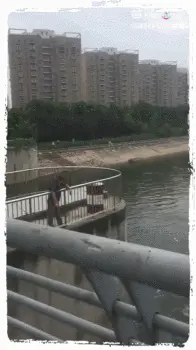 GIFparade CLVII GP157_01 