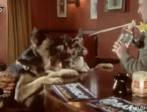 GIFparade CLVII GP157_10 