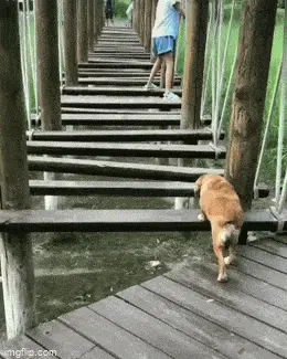 GIFparade CLVII GP157_14 