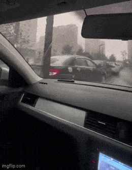 GIFparade CLVII GP157_15 